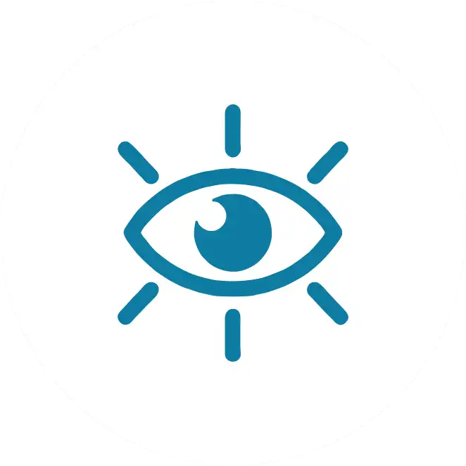 vision1